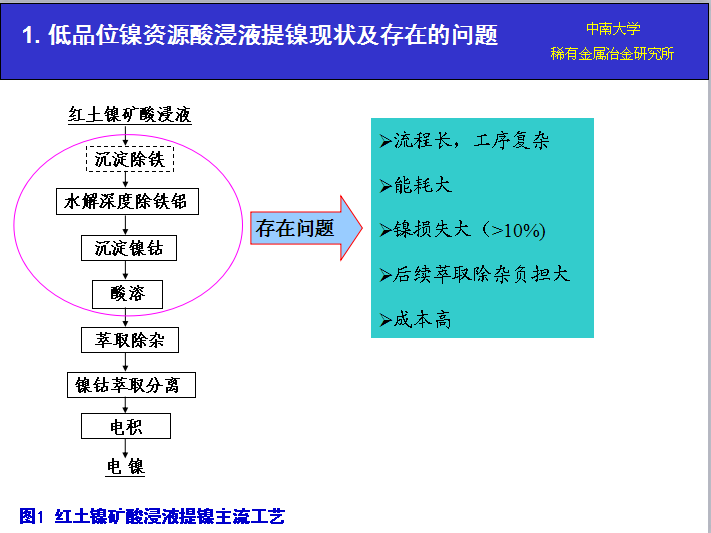 从低品位镍（钴）资源硫酸浸出液中 直接萃取提镍、钴新技术