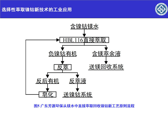 湖南萃取剂HBL110,湖南树脂HBDM—1,湖南特种交换树脂HBEV